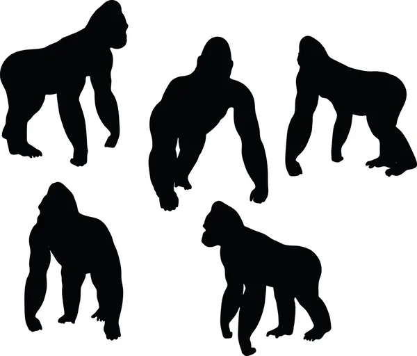 Gorilla silhouet — Stockvector