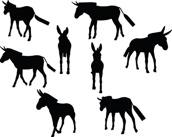 Donkey silhouette vector image — Stock Vector