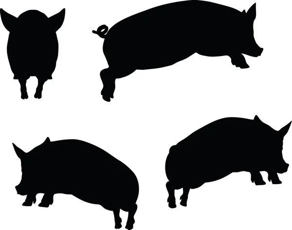 Векторное изображение свиньи — стоковый вектор