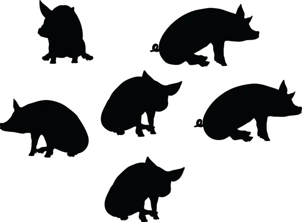 猪的轮廓矢量图像 — 图库矢量图片