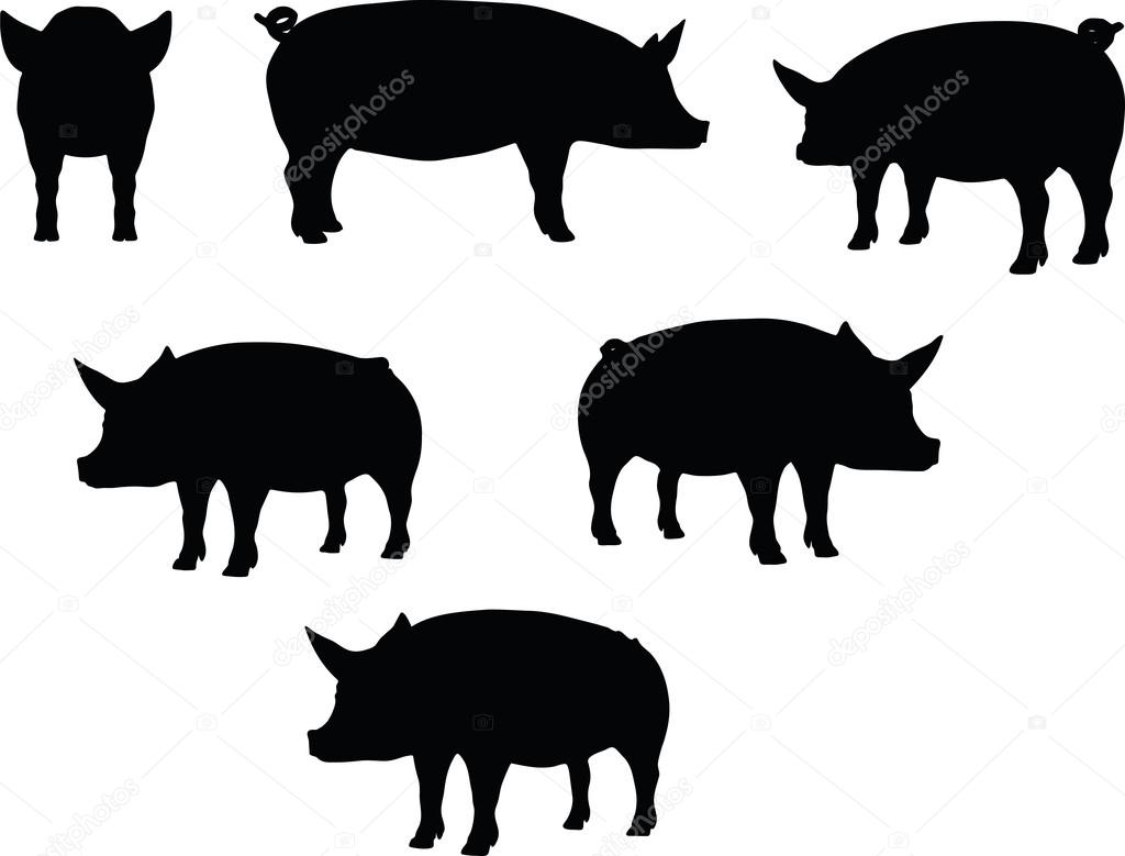 pig silhouette Vector Image