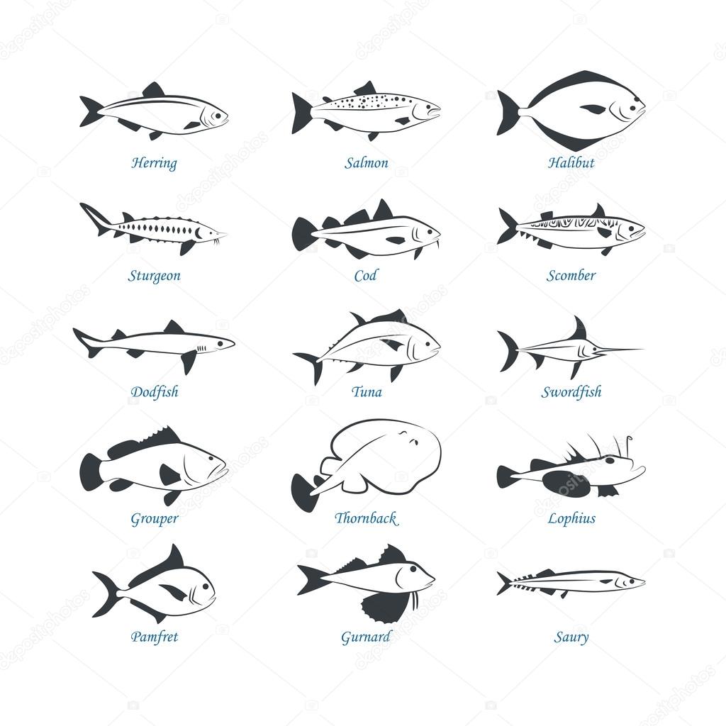 Seafood icons. Fish icons