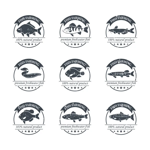 Perfect set of fish farming logos — Stock Illustration Perfect set of fish farming logos Stock Vector