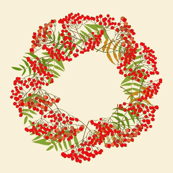 Red rowan wreath — Stock Vector