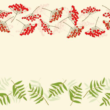 Rowan berry kenarlık