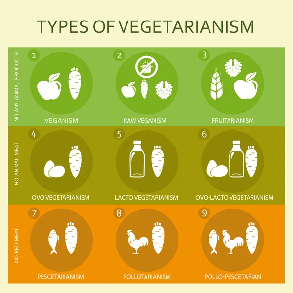 Tipos vegetarianos infográfico — Vetor de Stock