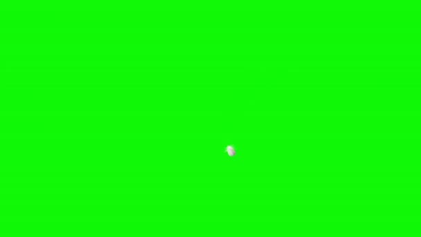 Repülő és hulló toll zöld és fekete háttér. Fenéknézet. — Stock videók