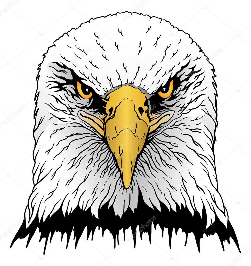 AdlerKopf lizenzfreie Grafiken