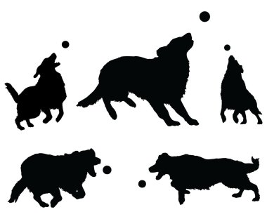 Topla oynamayı köpekler