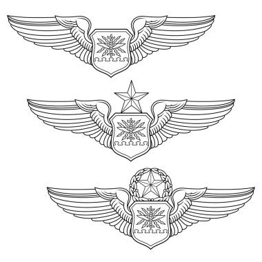 ABD Hava Kuvvetleri Navigator veya Uçak Gözlemcisi Set temel, üst düzey ve ana Hava Kuvvetleri Navigator veya Uçak Gözlemcisi Wings 'i içeren bir örnektir. Bu set, Birleşik Devletler Hava Kuvvetleri askeri rozetleri ve rütbeleri için kullanılıyor..