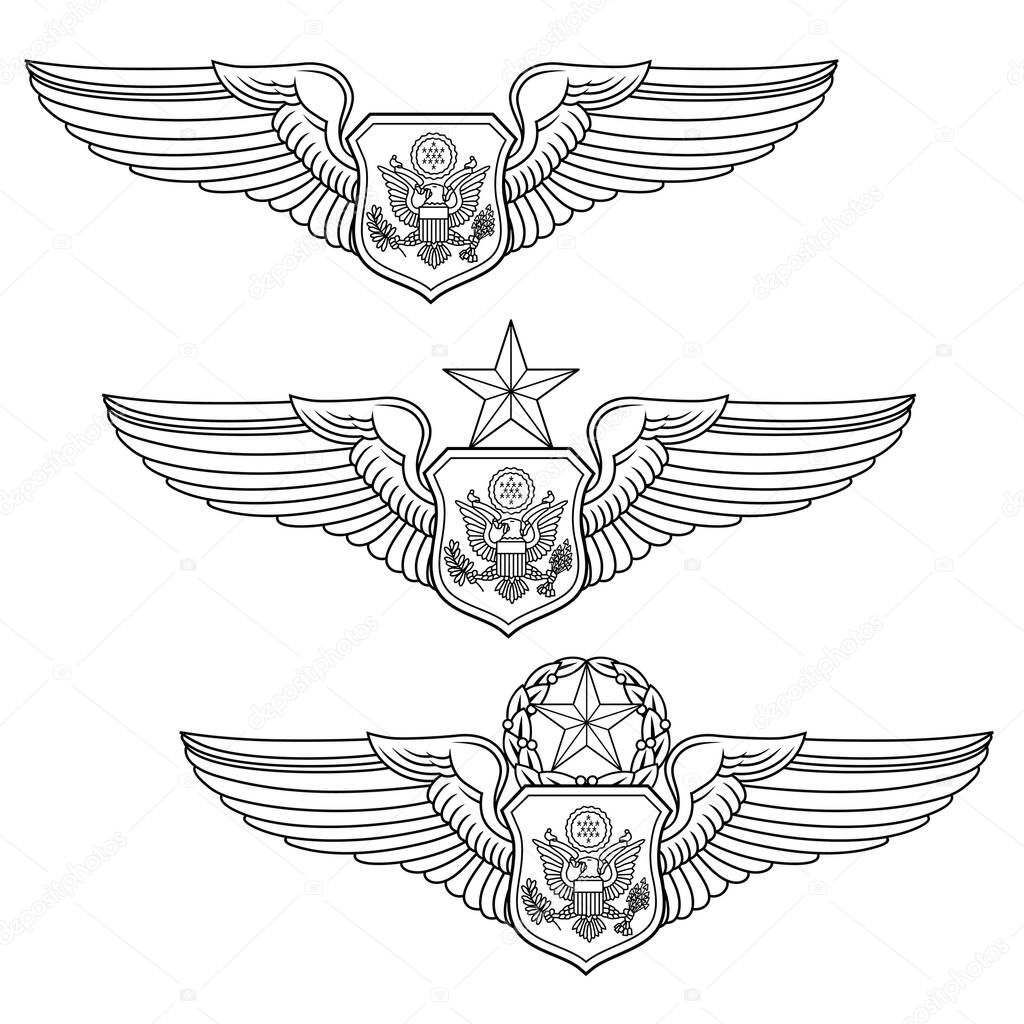 U.S. Air Force Nonrated Officer Aircrew Set is an illustration that includes the basic, senior and master Nonrated Officer Aircrew Wings. This complete set is used for the United States Air Force military badges and insignia.
