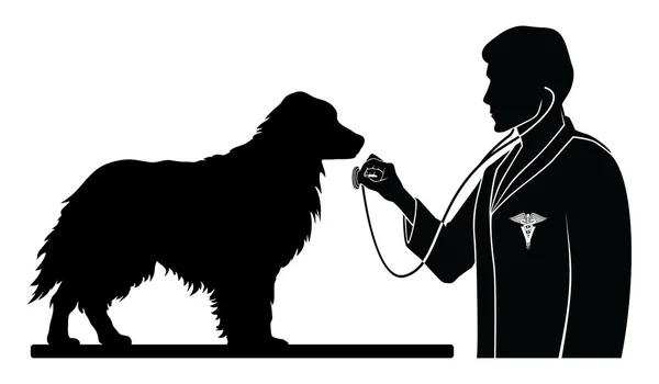 Veterinarian With Dog — Stock Vector