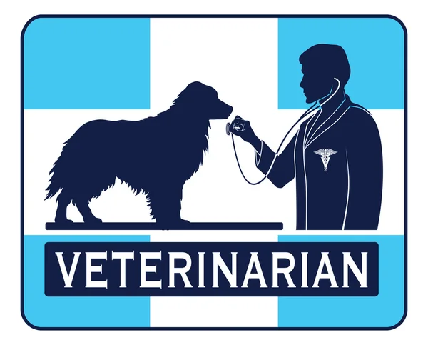 Veterinário com Dog Graphic — Vetor de Stock