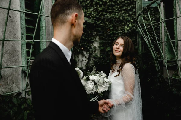 Incrivelmente Belo Casal Casamento Fica Nos Moitas Hera Belo Jovem — Fotografia de Stock