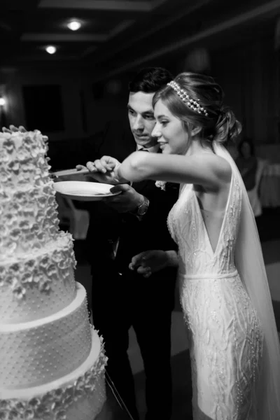 Händchenhaltend Schnitten Braut Und Bräutigam Eine Riesige Hochzeitstorte Weiße Fünflagige — Stockfoto