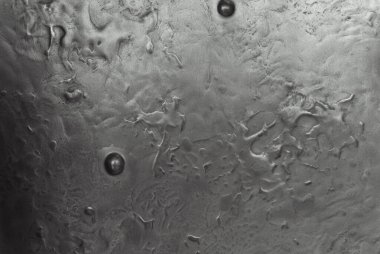 Kabarcıklı gri stil. Tasarımcıların arka planı. Uzay dokusu. Çatı katı. soyutlama.