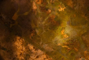 Paslı arka plan, soyutluk, güzel sarı-turuncu arka plan duvarı. Tasarımcılar ve stilistler için arka plan.