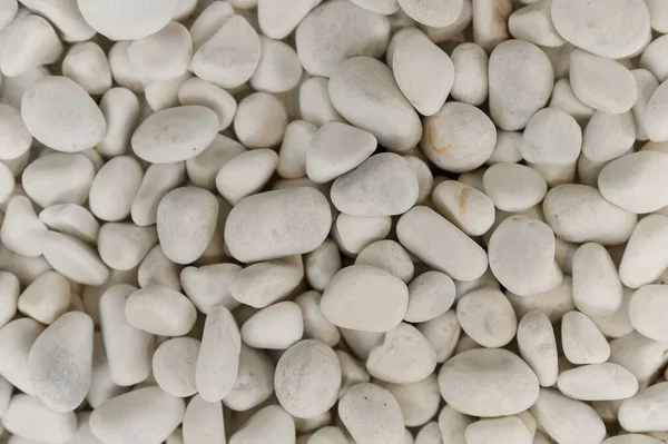 background with beach stones. beautiful stones of different shapes and sizes. stone texture. modern background with stone