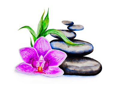 zen çakıl taşları ile güzel orkide
