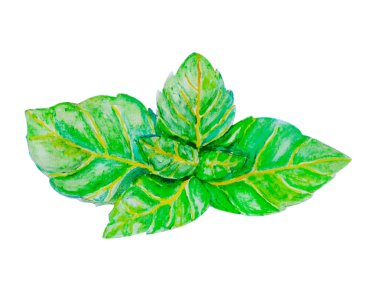 Parlak yeşil nane yaprakları