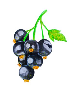 Lezzetli siyah kuş üzümü