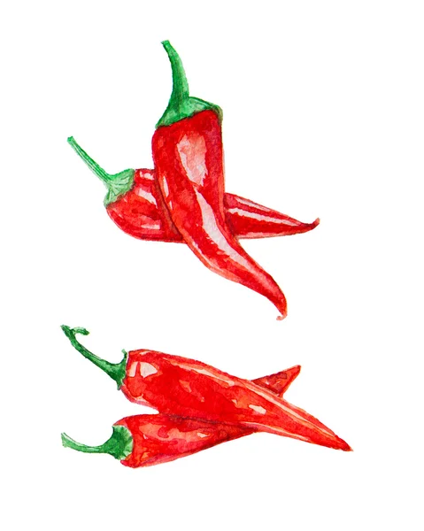 Különböző világos paprika beállítása — Stock Fotó