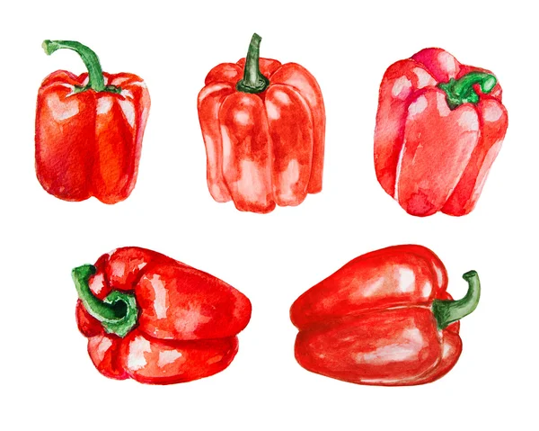 Various bright Peppers set — Stock Photo, Image