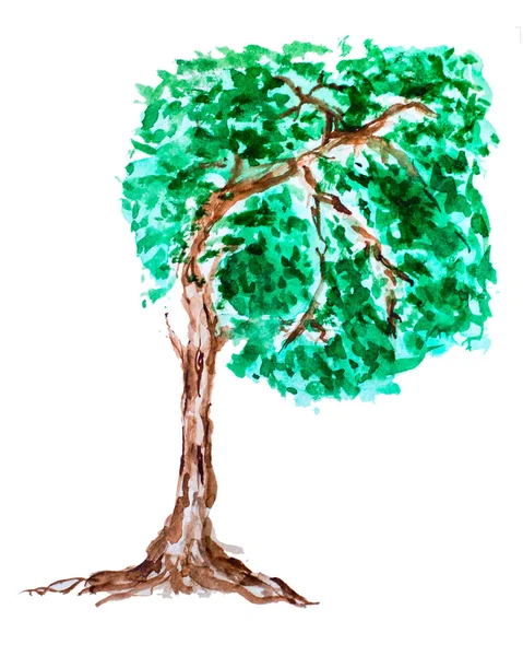 Elle çizilmiş yeşil ağaç — Stok fotoğraf