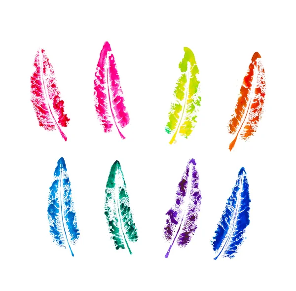 Rustik dekoratif tüyler seti