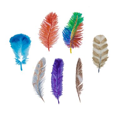 Rustik dekoratif tüyler seti