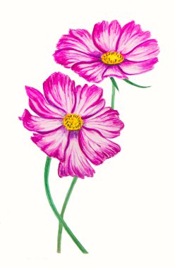 parlak suluboya çiçek