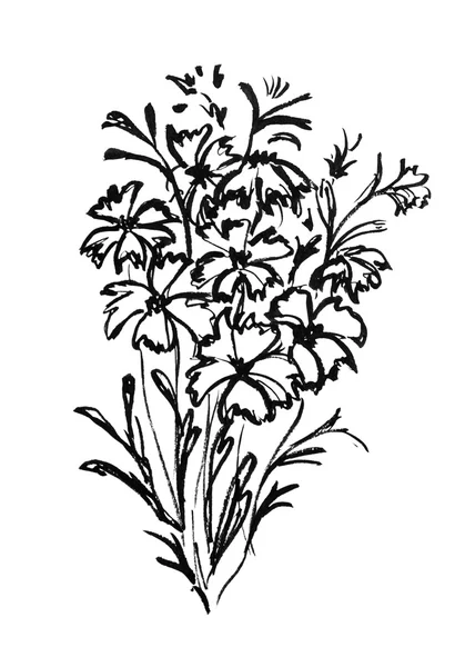Flowers drawn in ink. Vintage style — Stock Photo, Image