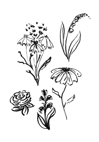 Kwiaty rysowane tuszem. Styl Vintage — Zdjęcie stockowe