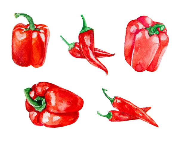 Various bright red Peppers set — Stock Photo, Image