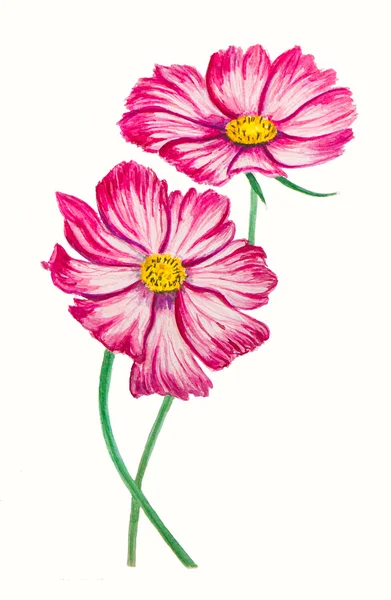 Fényes akvarell virágok — Stock Fotó
