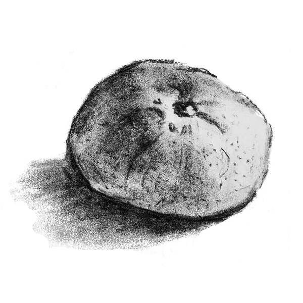 Mandarina monocromática desenhada à mão — Fotografia de Stock