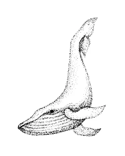 Ballena monocroma grande — Vector de stock