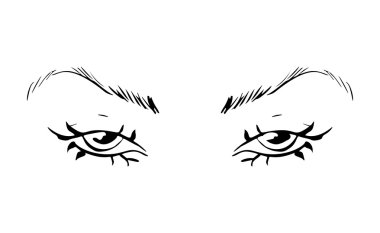 Dişi gözler ve kaşlar. Kadın gözü tasarımı. Vektör illüstrasyonu
