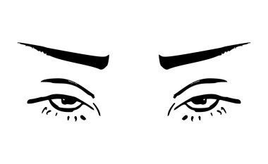 Dişi gözler ve kaşlar. Kadın gözü tasarımı. Vektör illüstrasyonu