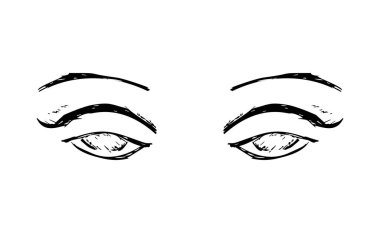 Dişi gözler ve kaşlar. Kadın gözü tasarımı. Vektör illüstrasyonu