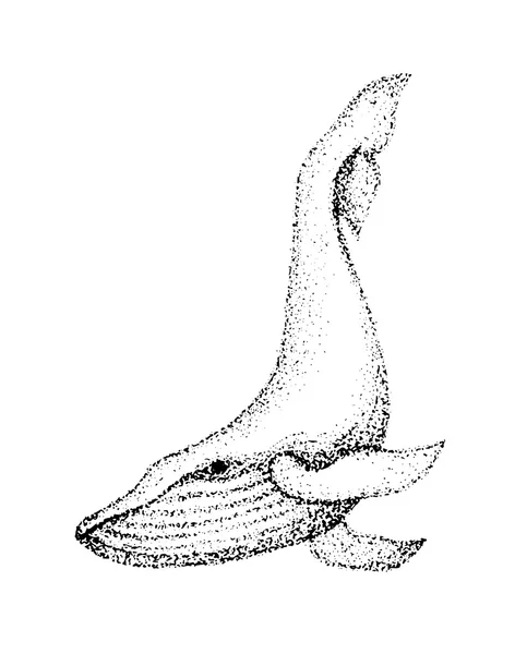 鯨のスケッチ ドットアート — ストックベクタ