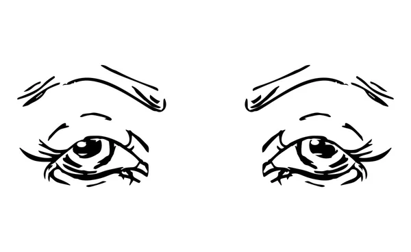 Ojos Cejas Femeninas Diseño Ojos Mujer Ilustración Vectorial — Vector de stock