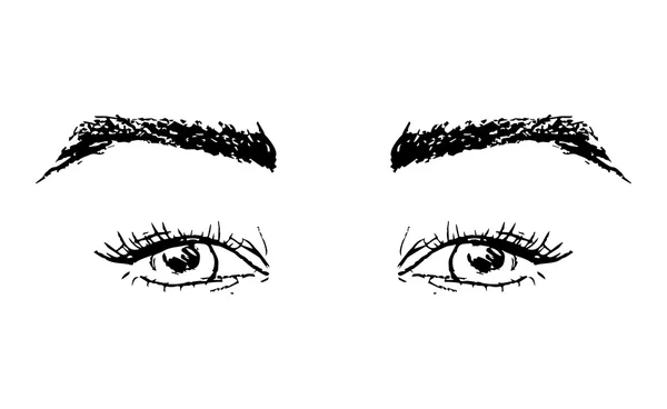 Yeux Sourcils Féminins Femmes Yeux Design Illustration Vectorielle — Image vectorielle