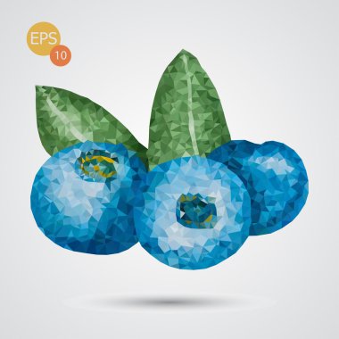 poli stil yaban mersini