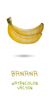 Beyaz üzerine suluboya muz