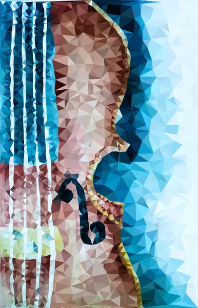 Poligonal keman poster