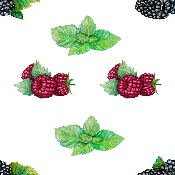 Watercolor raspberries and blackberries — Stock Vector