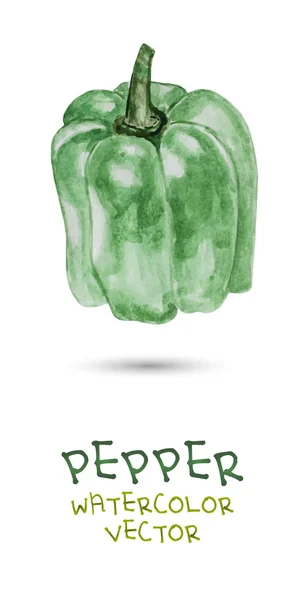Ακουαρέλα πράσινη πιπεριά — Διανυσματικό Αρχείο