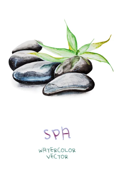 Zen çakıl bambu ile Filiz