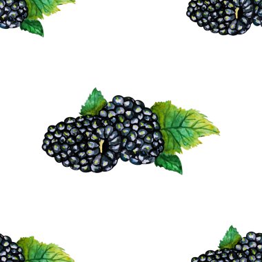 izole lezzetli blackberry